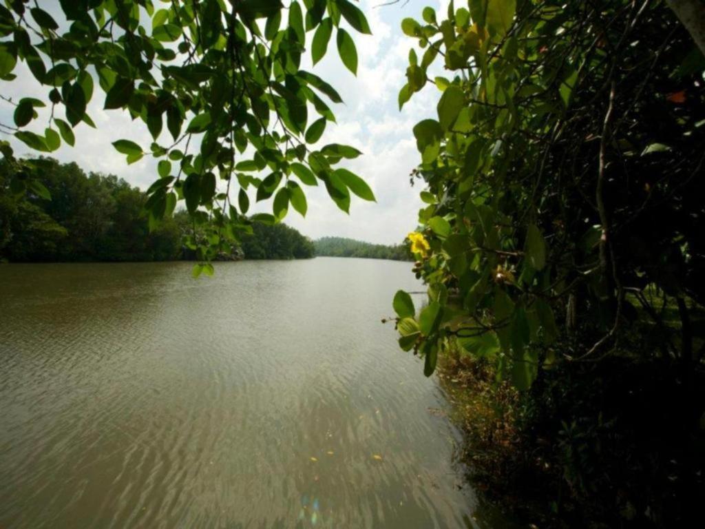 Mangrove Escapes Resort Bentota Kültér fotó