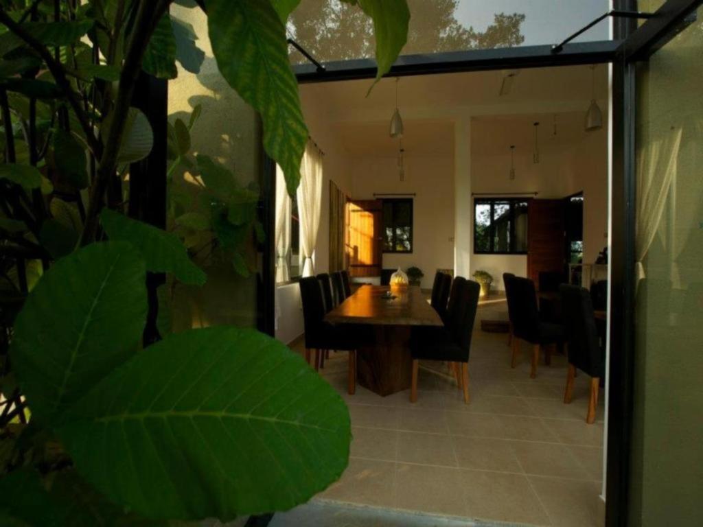 Mangrove Escapes Resort Bentota Kültér fotó