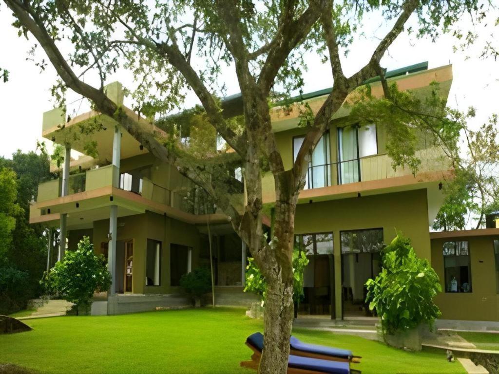 Mangrove Escapes Resort Bentota Kültér fotó