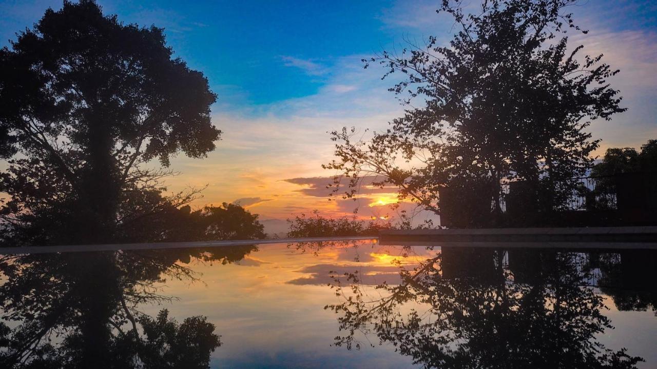 Mangrove Escapes Resort Bentota Kültér fotó