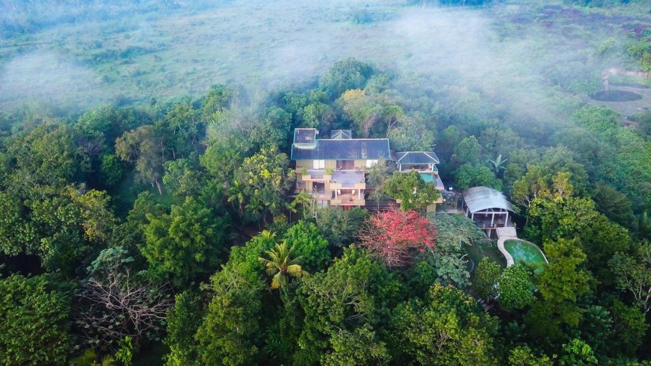 Mangrove Escapes Resort Bentota Kültér fotó